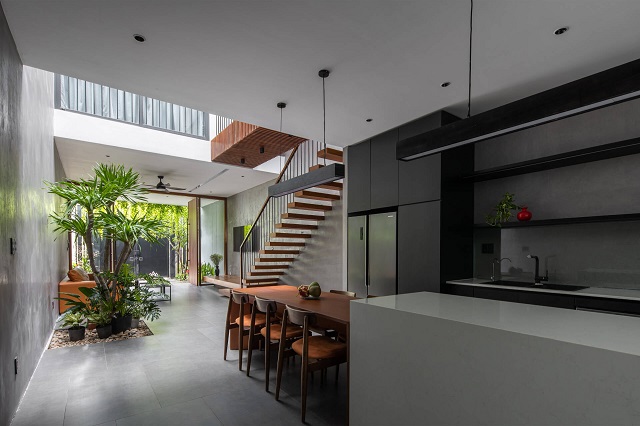 Trồng cây xanh trong nhà giúp tô điểm không gian